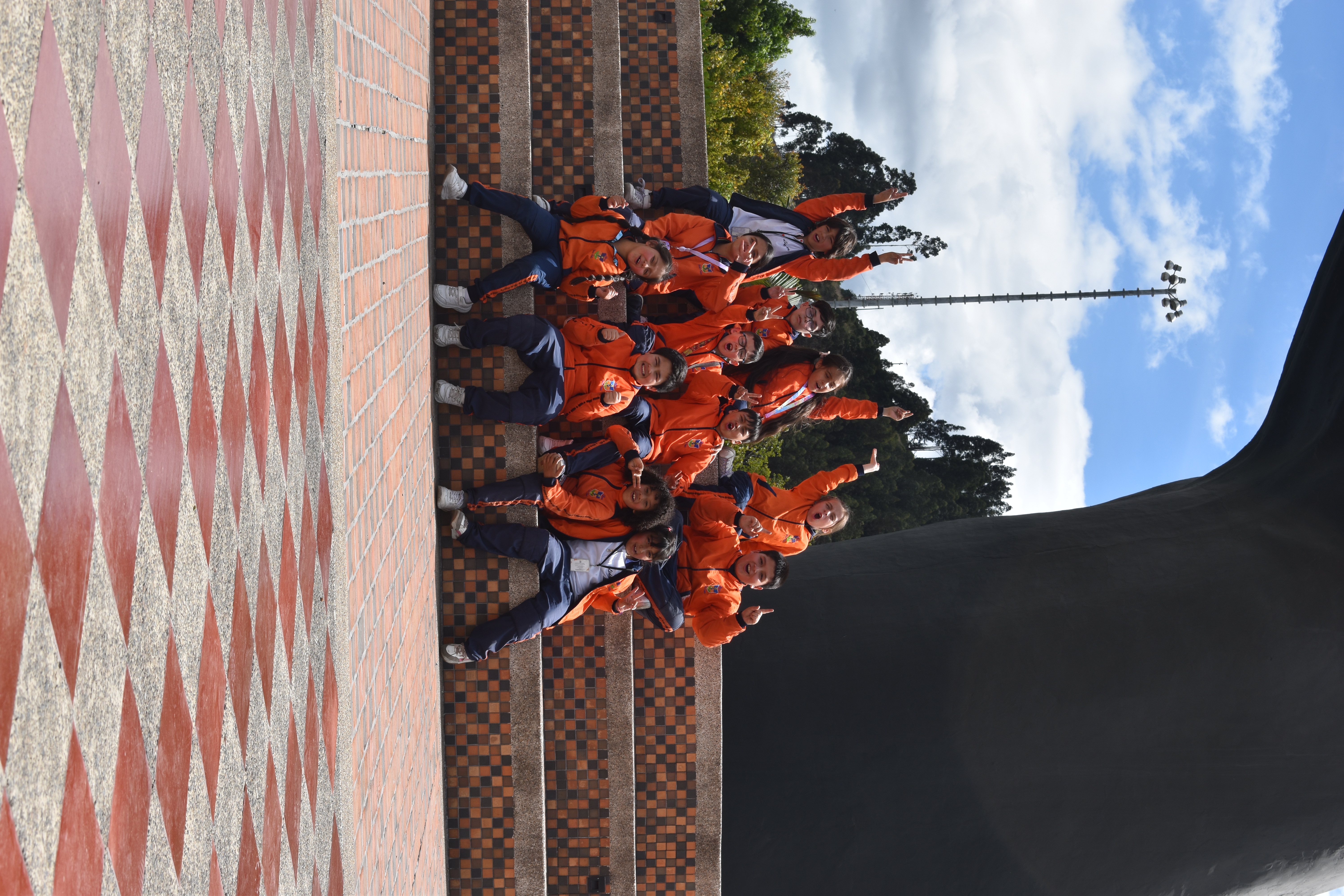 Descripción de la imagen