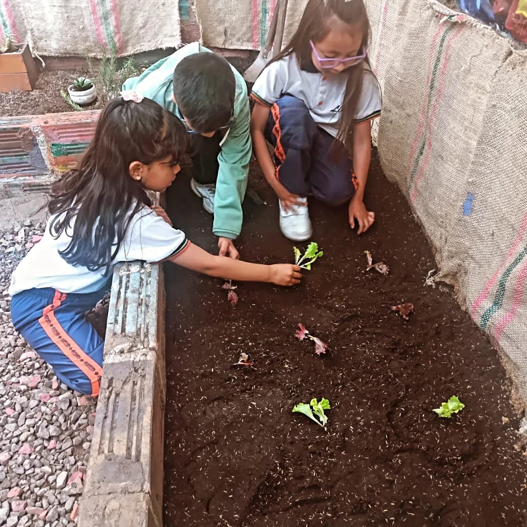 Descripción de la imagen