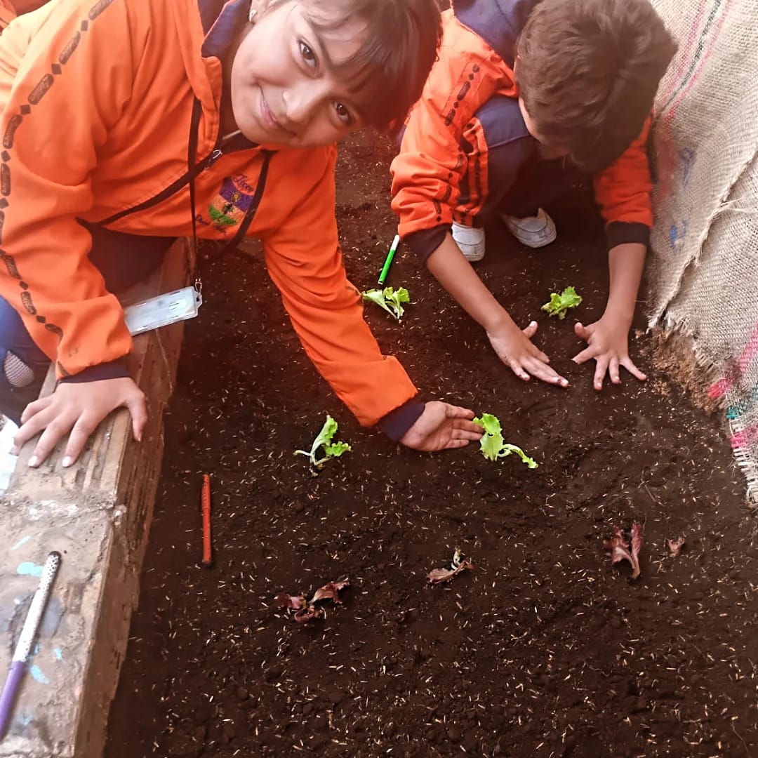 Descripción de la imagen