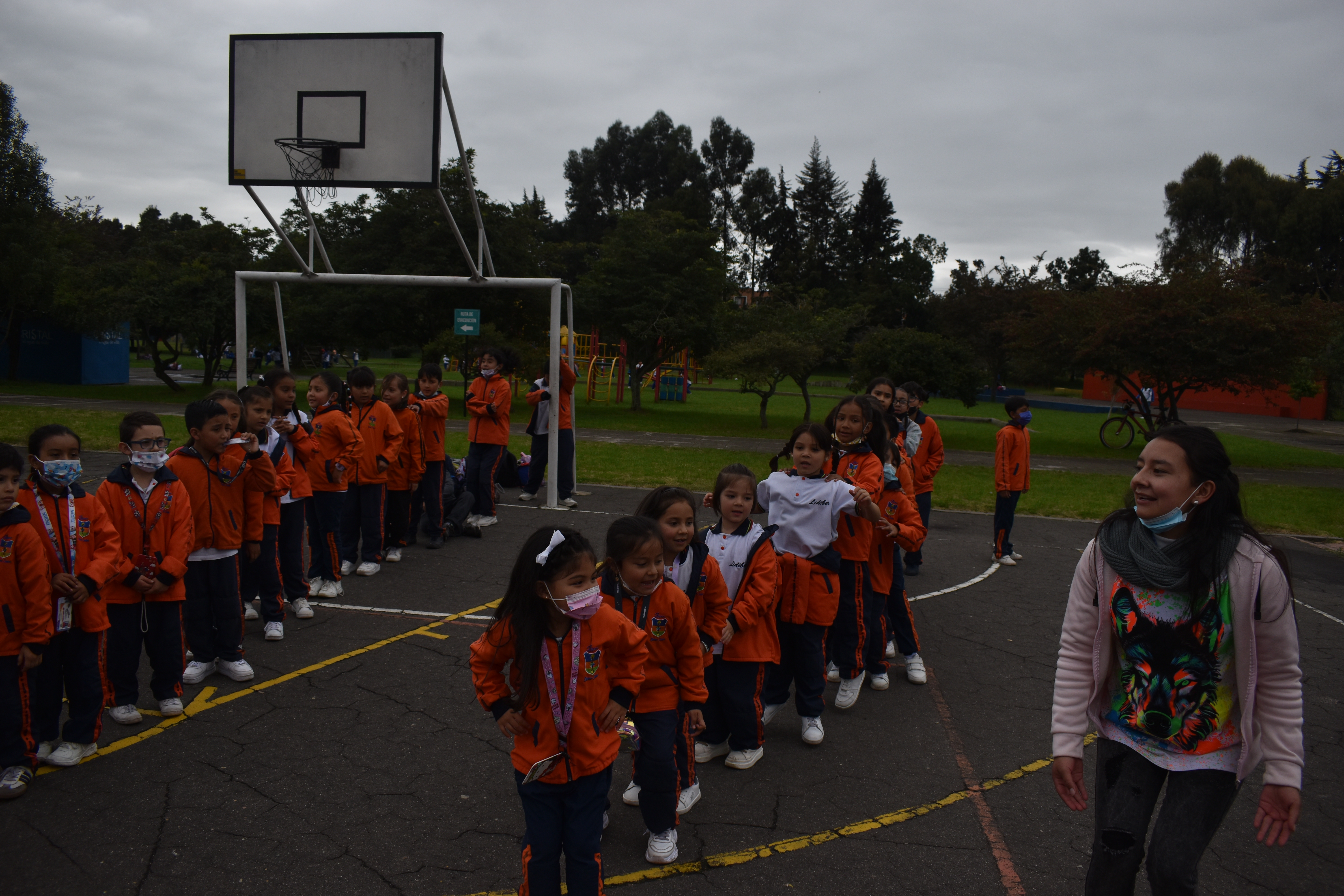 Descripción de la imagen