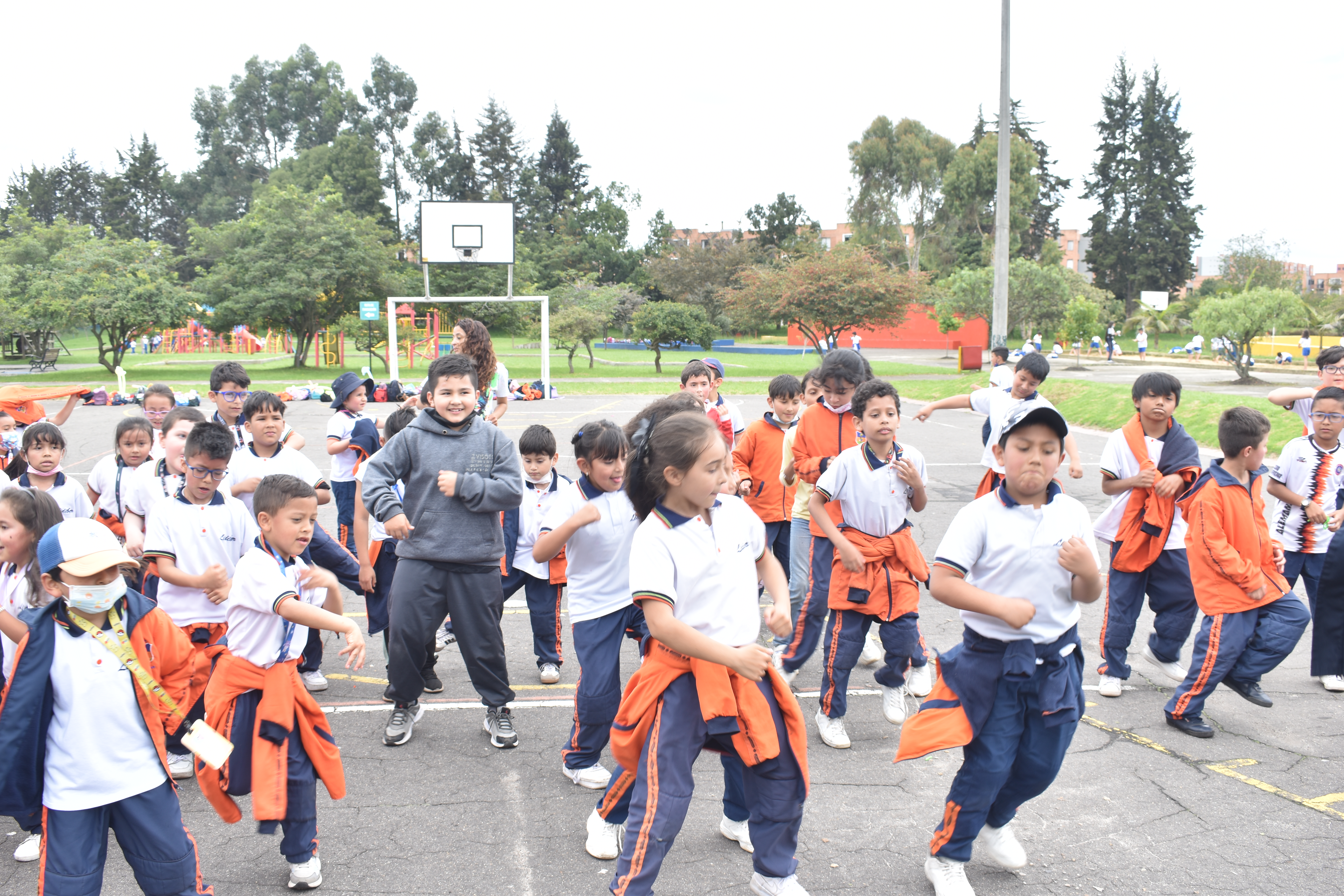 Descripción de la imagen