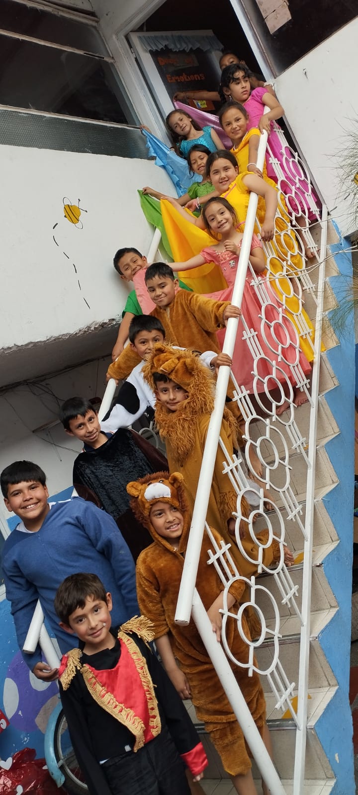 Descripción de la imagen