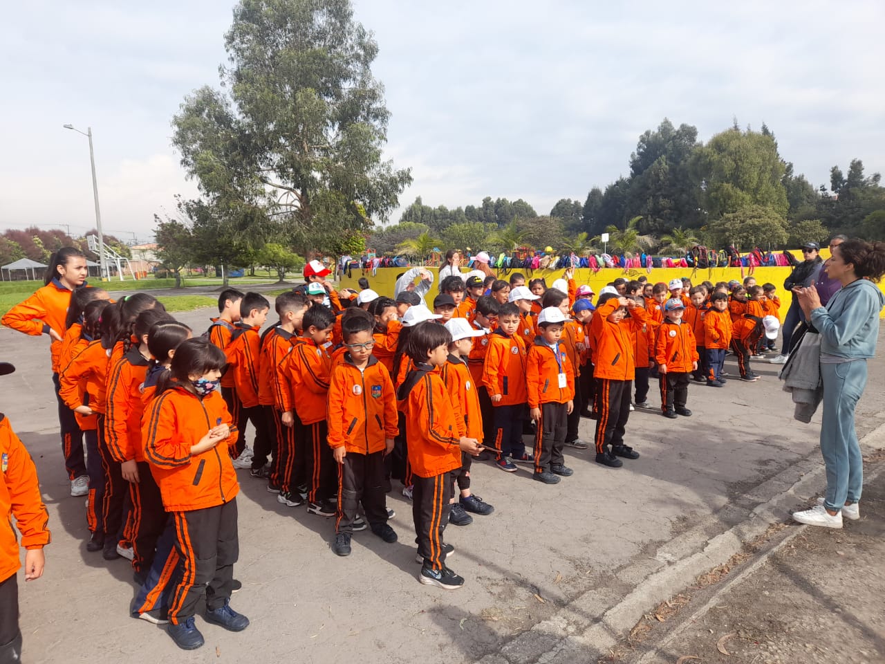 Descripción de la imagen